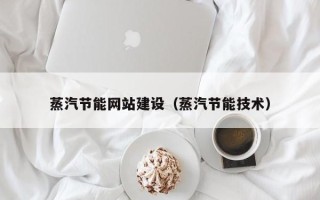 攸县蒸汽节能网站建设（蒸汽节能技术）